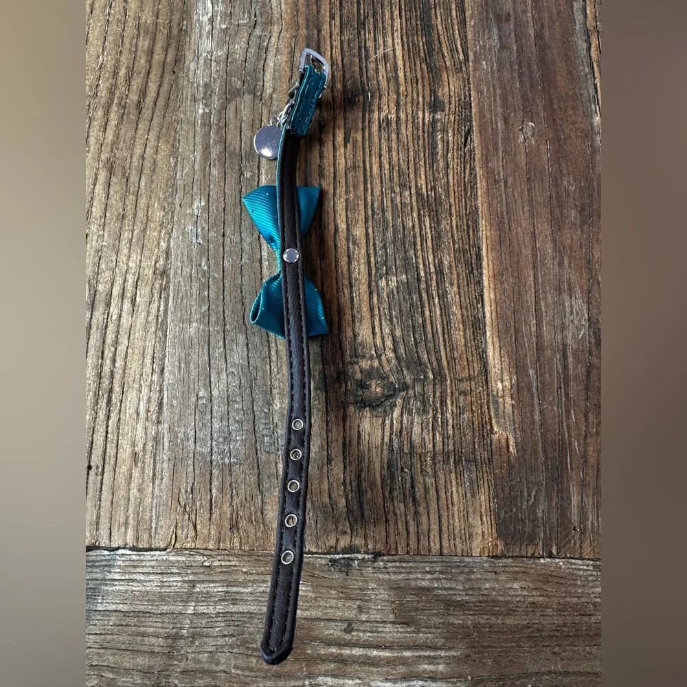Elegant Teal Dog Collar with Bow
